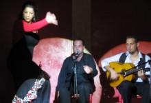 Liceo Flamenco, Malaga